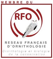 Logo RFO