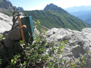 Plateforme acoustique installée dans le Cirque de Lescun (prospection Martinet à ventre blanc) - Copie